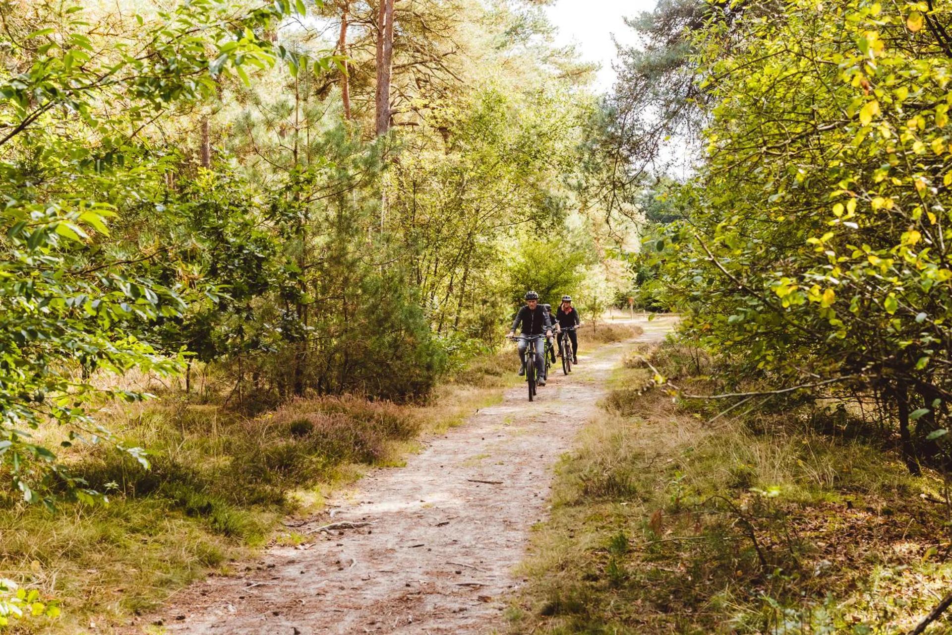 Landgoed Het Grote Zand Hooghalen Eksteriør billede